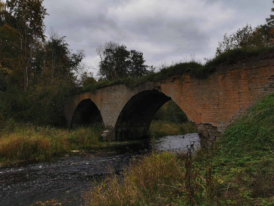 Cross-Chain Bridges and Privacy: Navigating the Future of Decentralized Finance