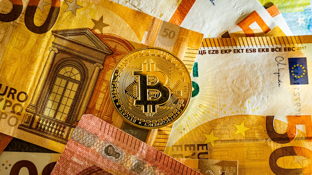 Digital Euro Privacy: Balancing Convenience and Security in the Age of Central Bank Digital Currencies