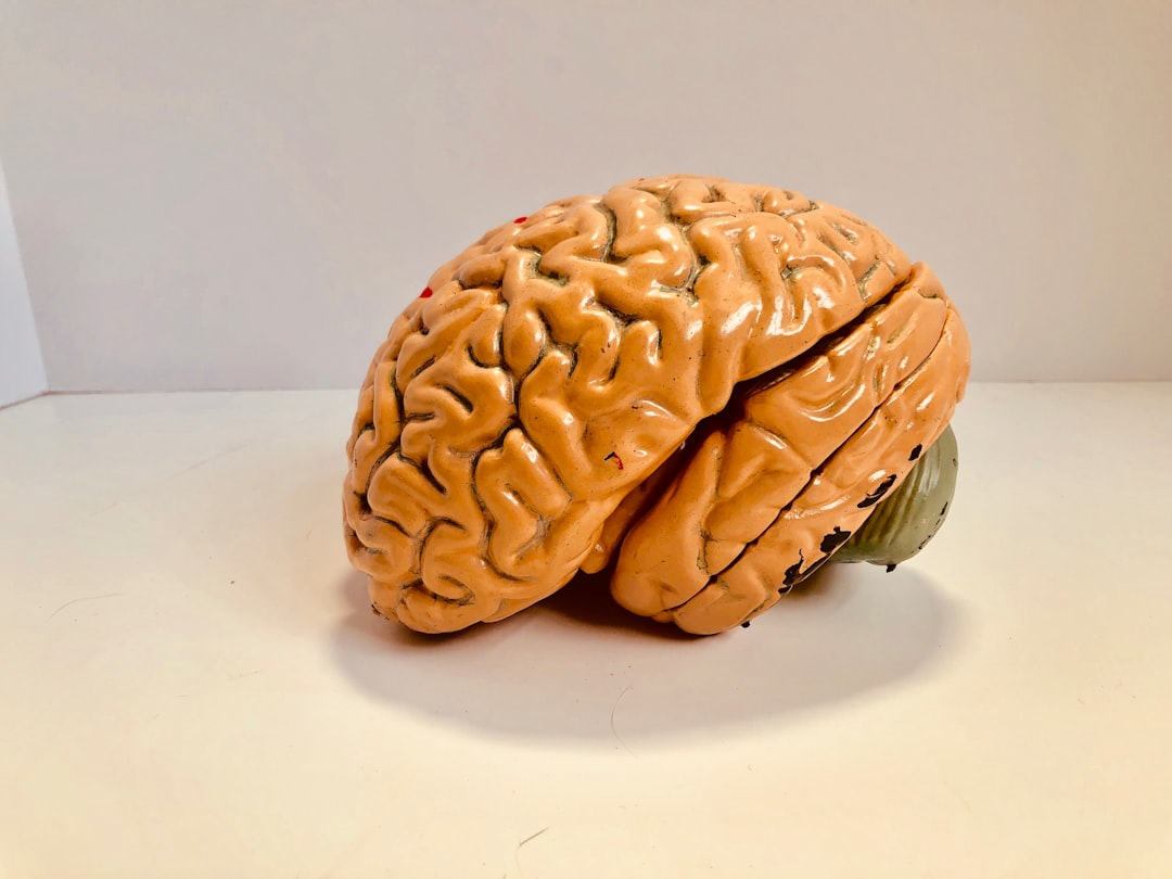 Hardware Wallet vs. Brain Wallet: Risks and Best Practices
