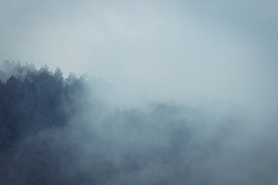 How to Identify a Dust Attack on Your Cryptocurrency Wallet