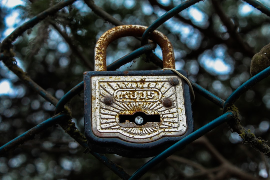 Фронтенд на IPFS: Как децентрализация меняет веб-разработку в эпоху криптовалют