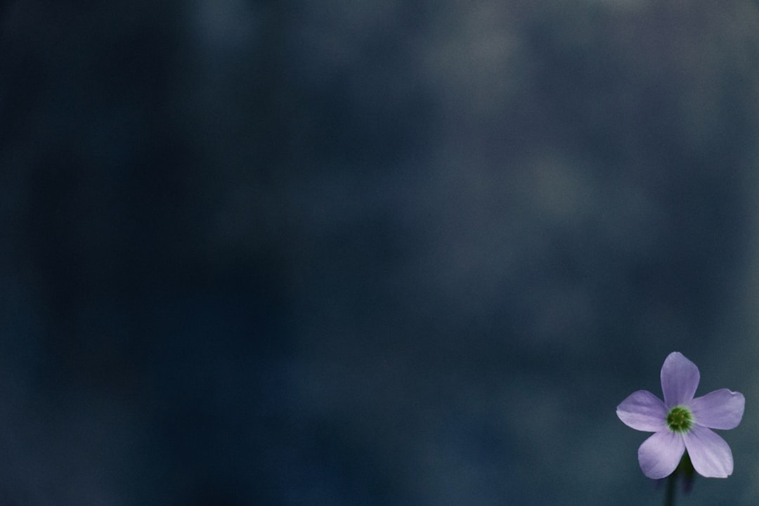 Is CoinJoin Legal? Understanding Cryptocurrency Privacy & Compliance