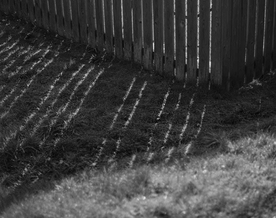 Monero: Полное руководство по приватности в мире криптовалют