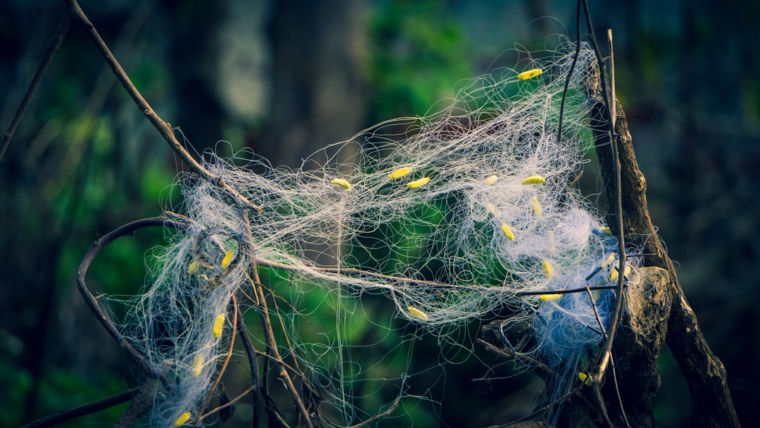 Overlay Network Mixnets: Enhancing Cryptocurrency Privacy Through Anonymized Routing