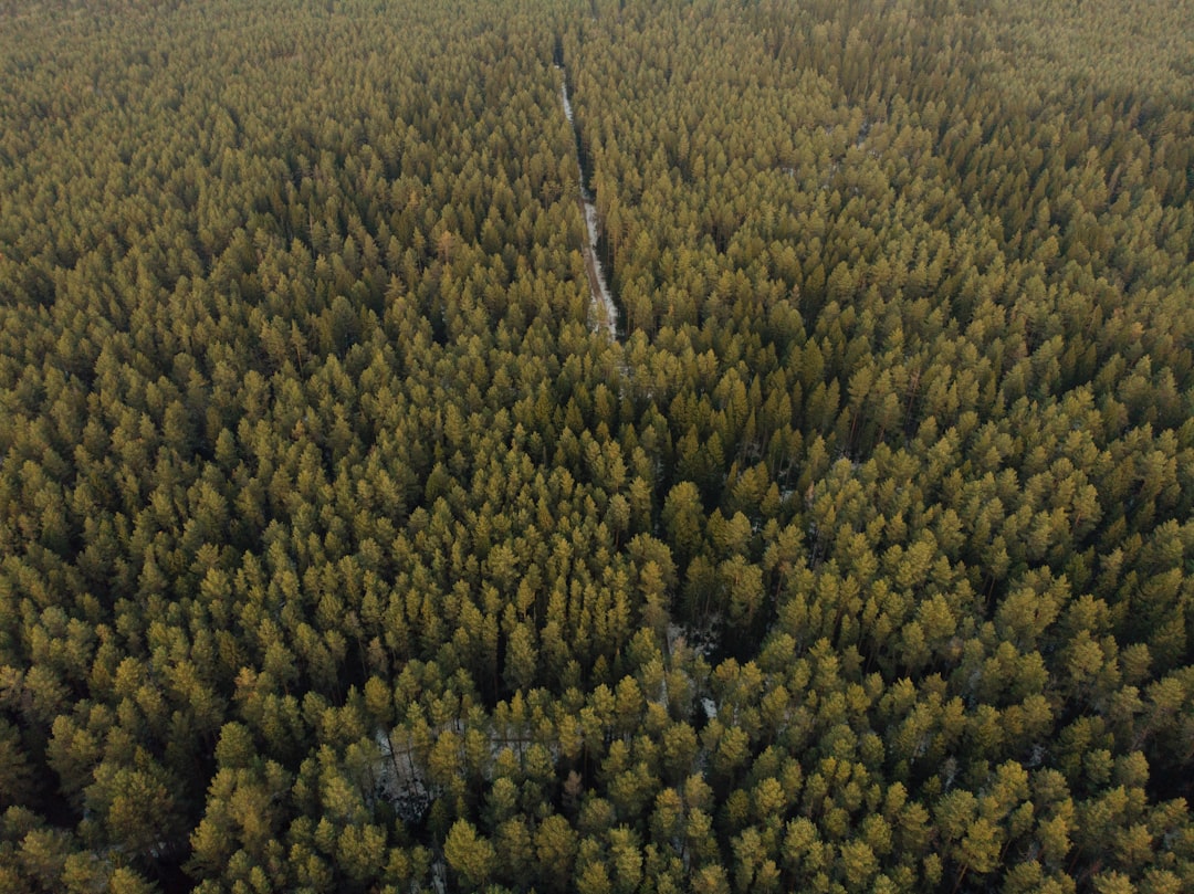 Panther Protocol: Как сохранить анонимность в мире криптовалют