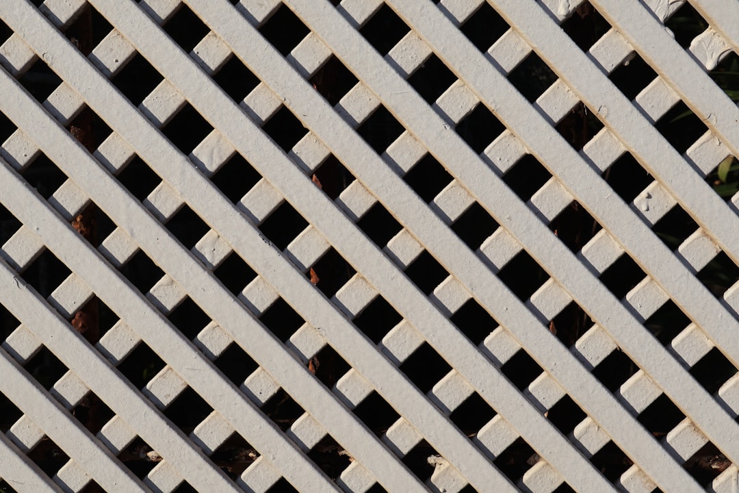 Polygon Miden: революция приватности в блокчейне