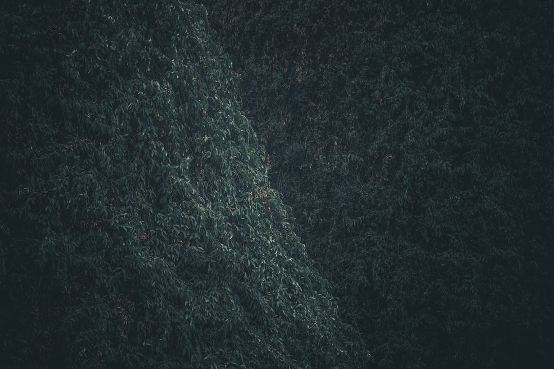 Случайная задержка выхода: Усиление приватности в криптовалютах