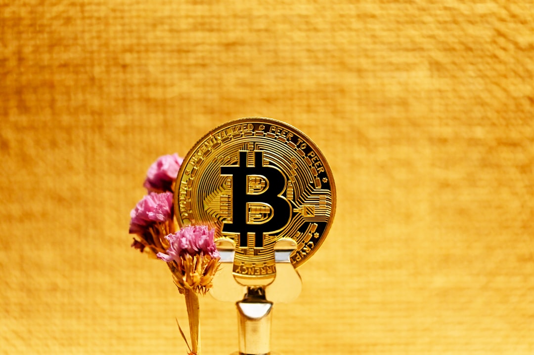 ослепленные пути платежей: как сохранить анонимность в криптовалютах