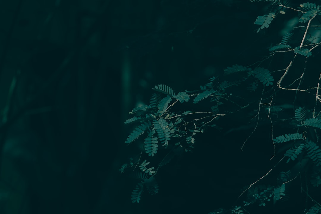 Визуализация анализа потоков: ключ к приватности криптовалют