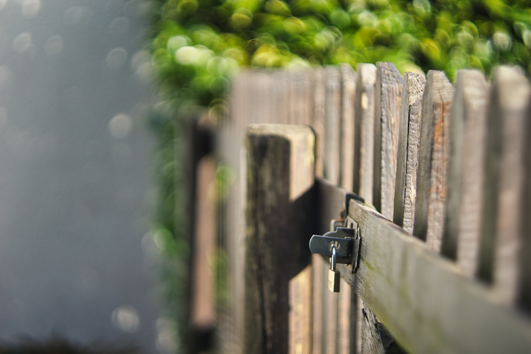 Как сохранить приватность криптовалютных транзакций: 5 важных правил