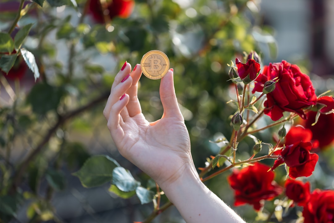 Private NFTs and Worldcoin: Addressing Criticisms and Privacy Concerns