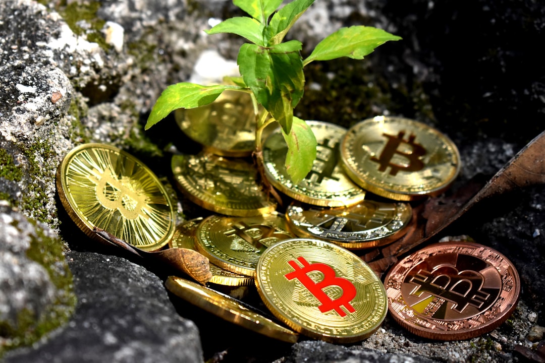Safeguarding Tokenomics: The Critical Role of Privacy in Crypto Projects