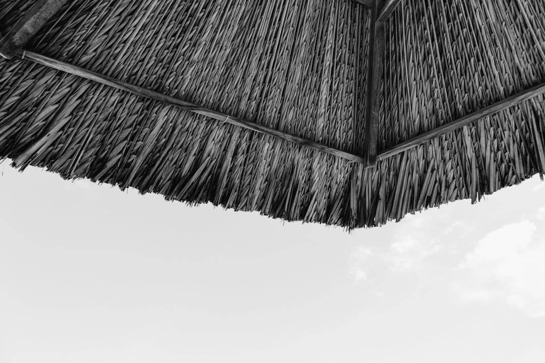 Samourai Stowaway PayJoin: Your Ultimate Guide to Private Crypto Transactions