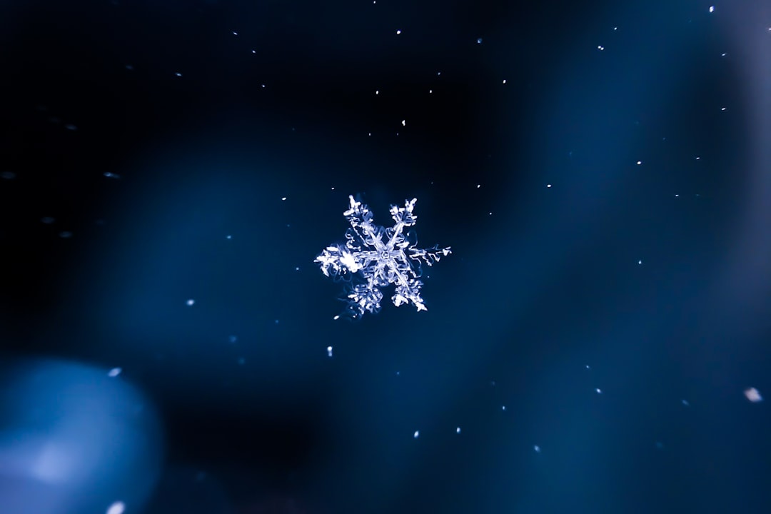 Snowflake Bridge: Enhancing Tor Privacy for Cryptocurrency Users