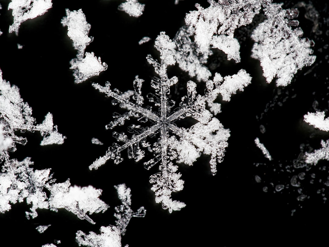 Snowflake Tor Bridge: Boosting Crypto Privacy with Decentralized Anonymity