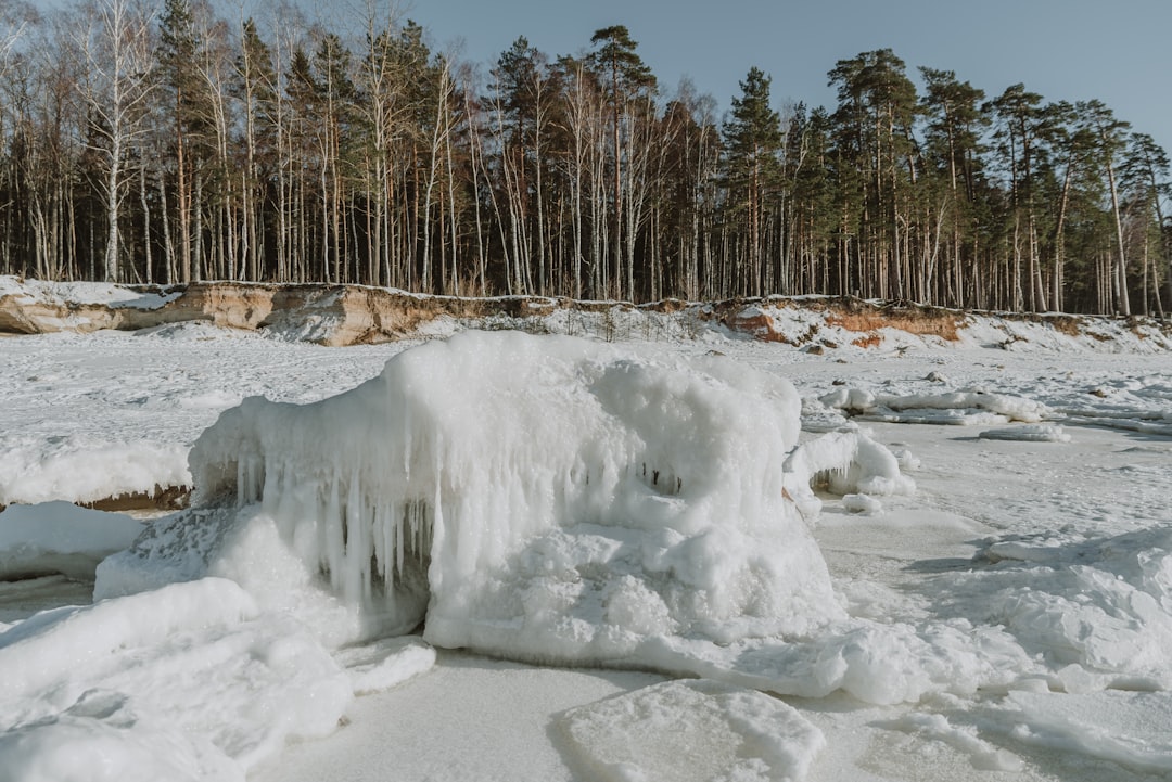 Stablecoin Freezing: Risks, Regulations, and Privacy Protections