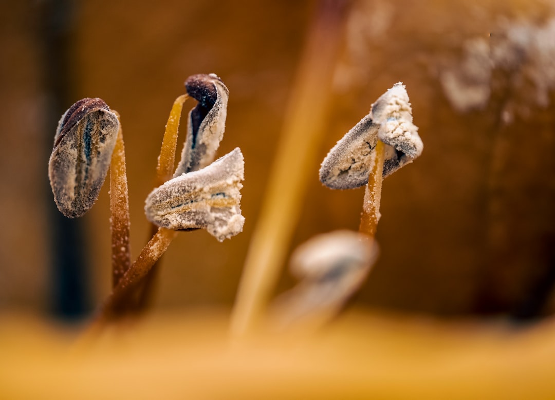 The Risks of Freezing Stablecoins: What You Need to Know