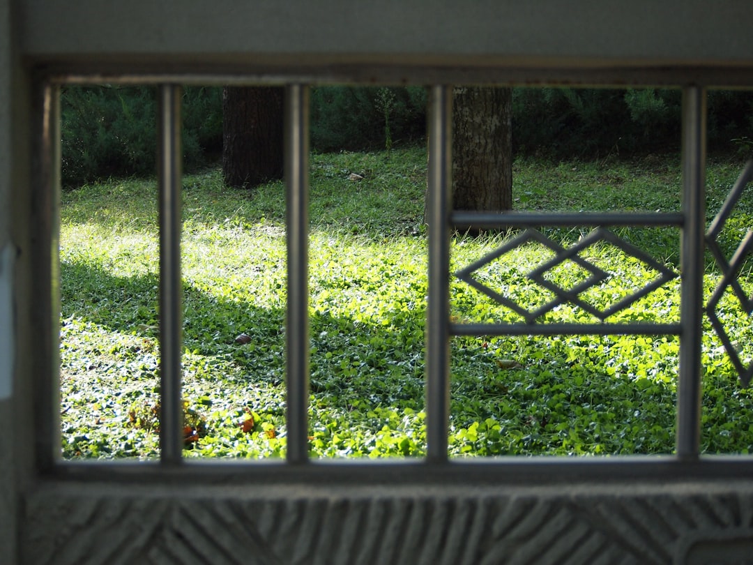 Zcash: Защита приватности в эпоху цифровых финансов